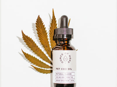 Understanding the Legality of CBD for Pets: What Pet Owners Need to Know
