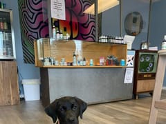 Canna World Market - Denver CBD Store