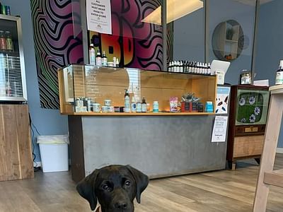 Canna World Market - Denver CBD Store