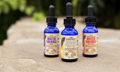 CBD American Shaman Creekside Plaza