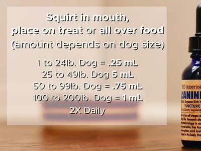 CBD American Shaman Mission | Delta 8 | Hemp Delta 9 | Gummies