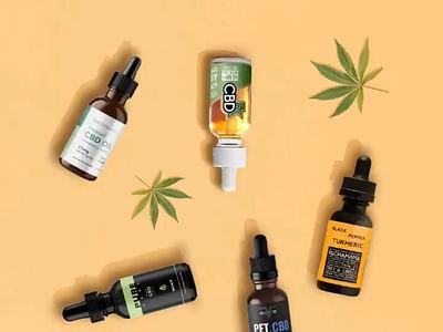 CBD Store, Oil, Gummies, Kratom, Vape, Smoke Shop, Delta 8 - TX Herbal House