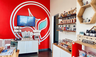 Celestial Stem | CBD & Wellness