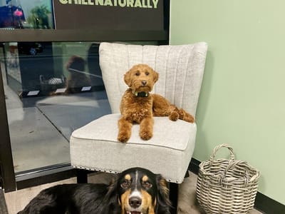 Chill Naturally - Your Pace/Milton Delta 8, Hemp Derived THC & CBD Store