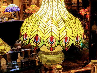 Everyday Natural Products Mushroom & CBD