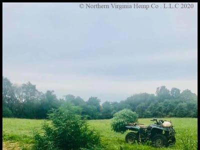 Northern Virginia Hemp Company L.L.C - “Virginia Hemp”