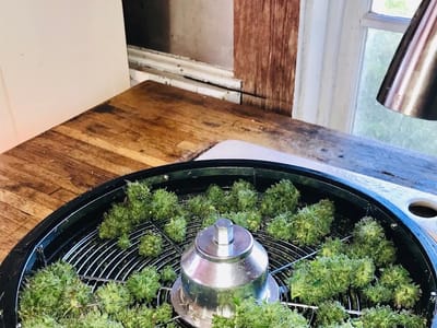 Northern Virginia Hemp Company L.L.C - “Virginia Hemp”