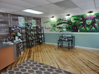 Wildflower Vibes CBD